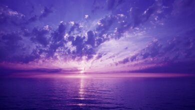 Cloud Migration: Best Practices for a Seamless Transition