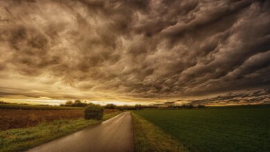 Navigating Compliance in Cloud Computing: A Guide for Businesses