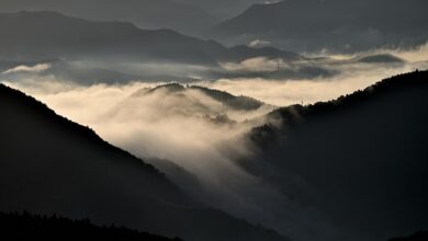 Scaling Your Business: How Cloud Solutions Adapt to Growth