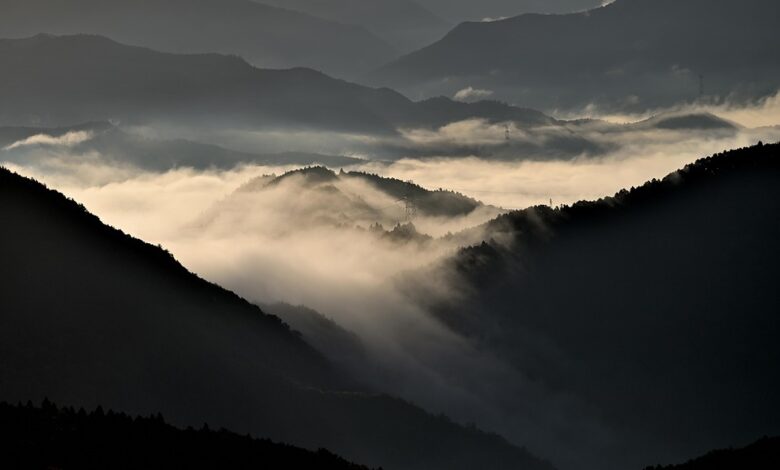 Scaling Your Business: How Cloud Solutions Adapt to Growth