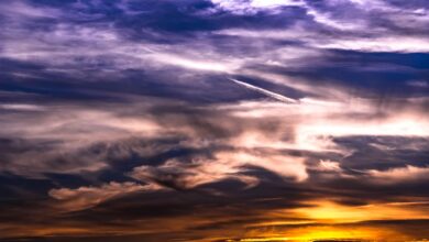 The Role of AI in Enhancing Cloud Services