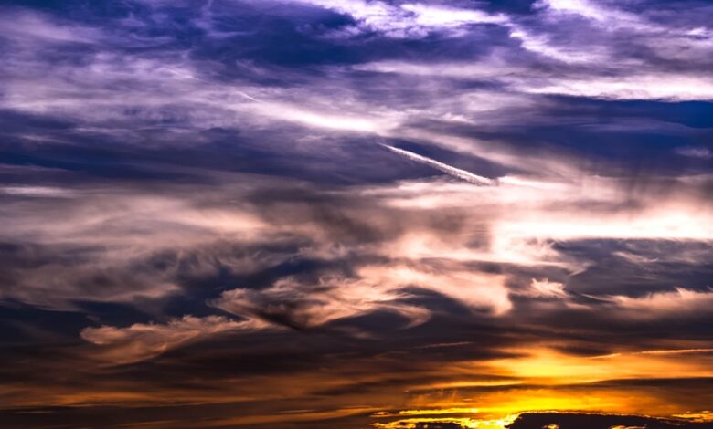 The Role of AI in Enhancing Cloud Services