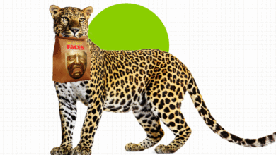 The AI Hype Index: Data centers’ neighbors are pivoting to power blackouts