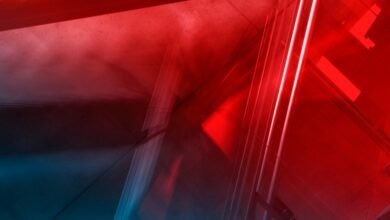 Rules fail at the prompt, succeed at the boundary Rules fail at the prompt, succeed at the boundary