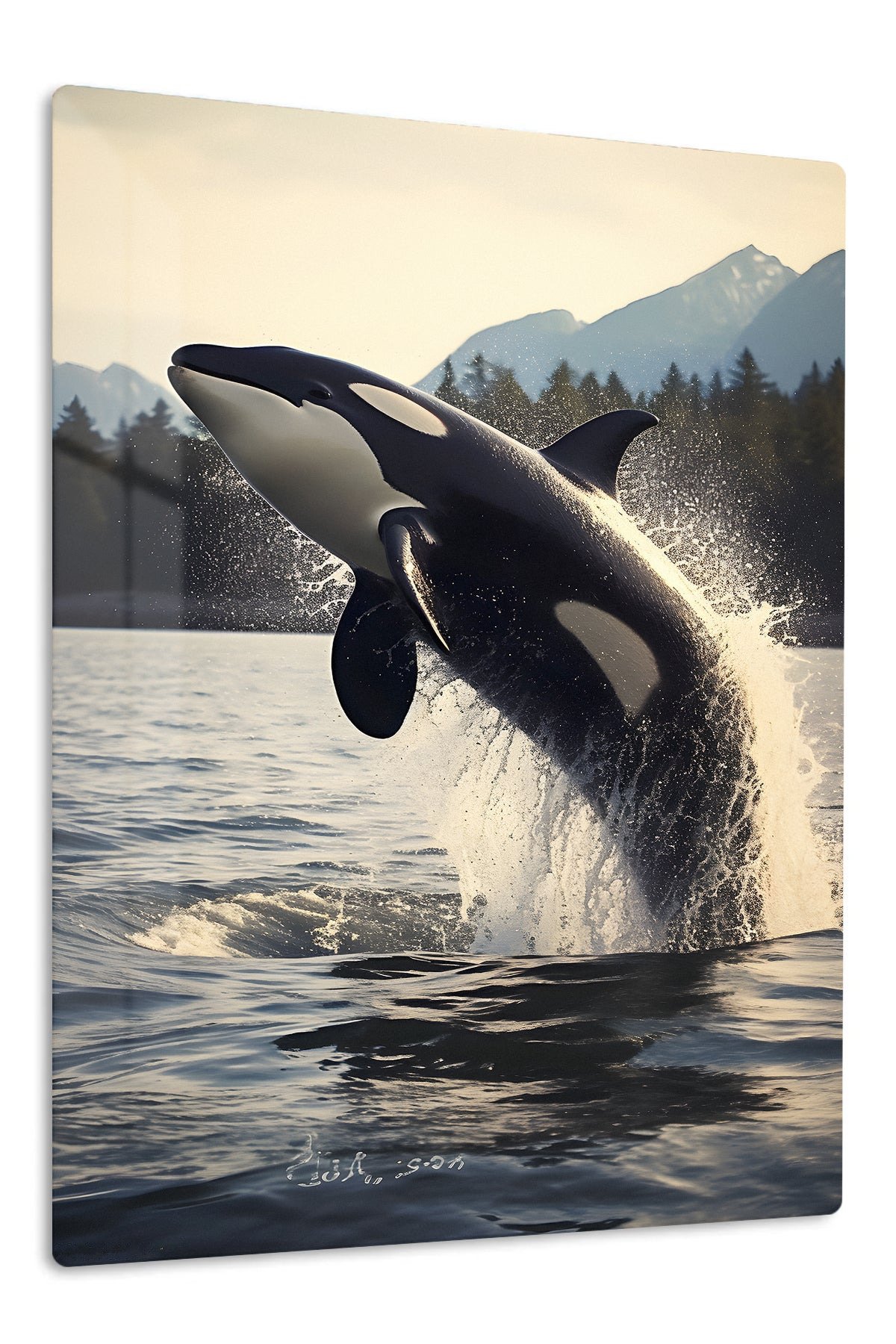 Orca Breach at Mountain Lake metal wall art print
