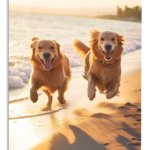 Golden Dogs at Sunset metal wall art print