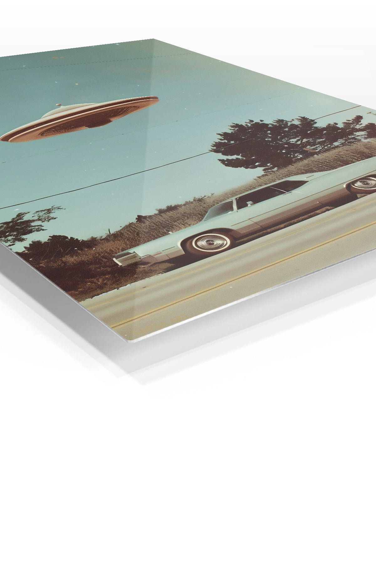 Roadside Flying Saucer metal wall art print, view 2