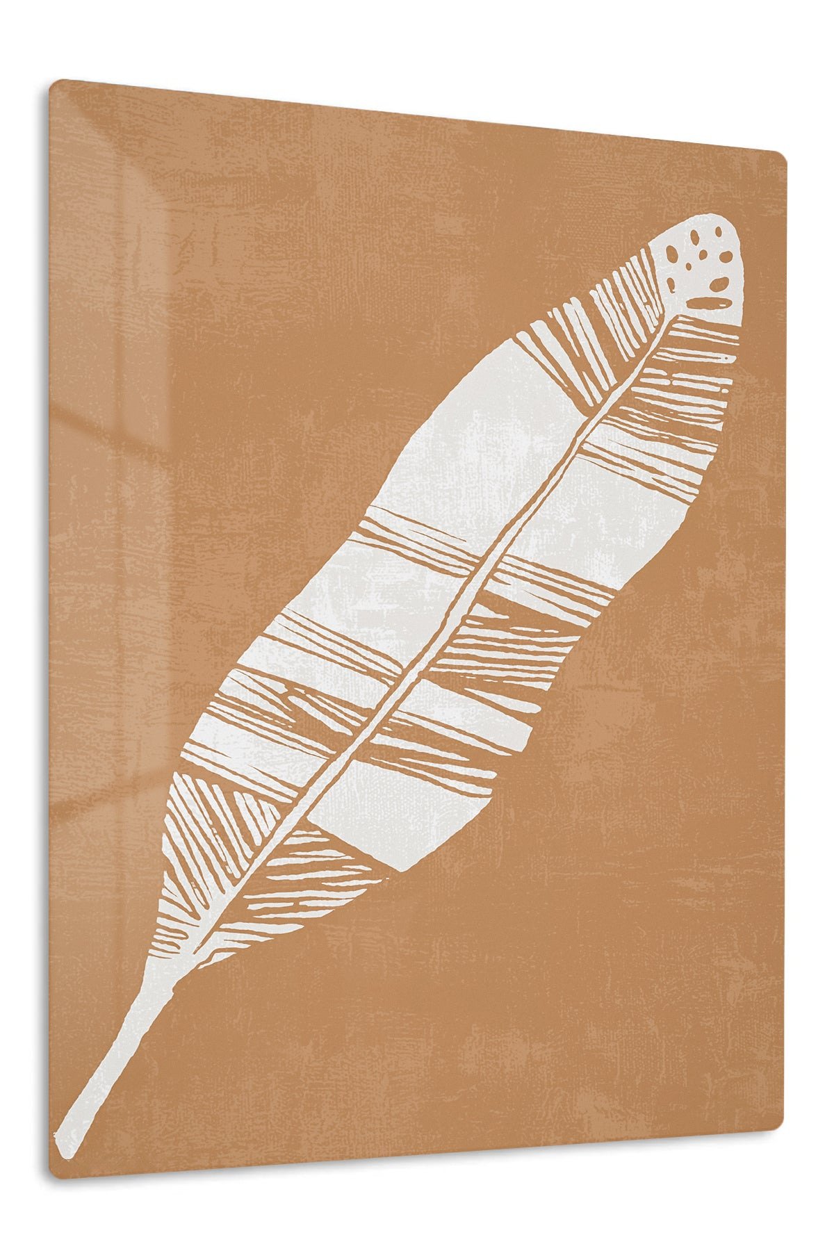 White Feather on Terracotta metal wall art print