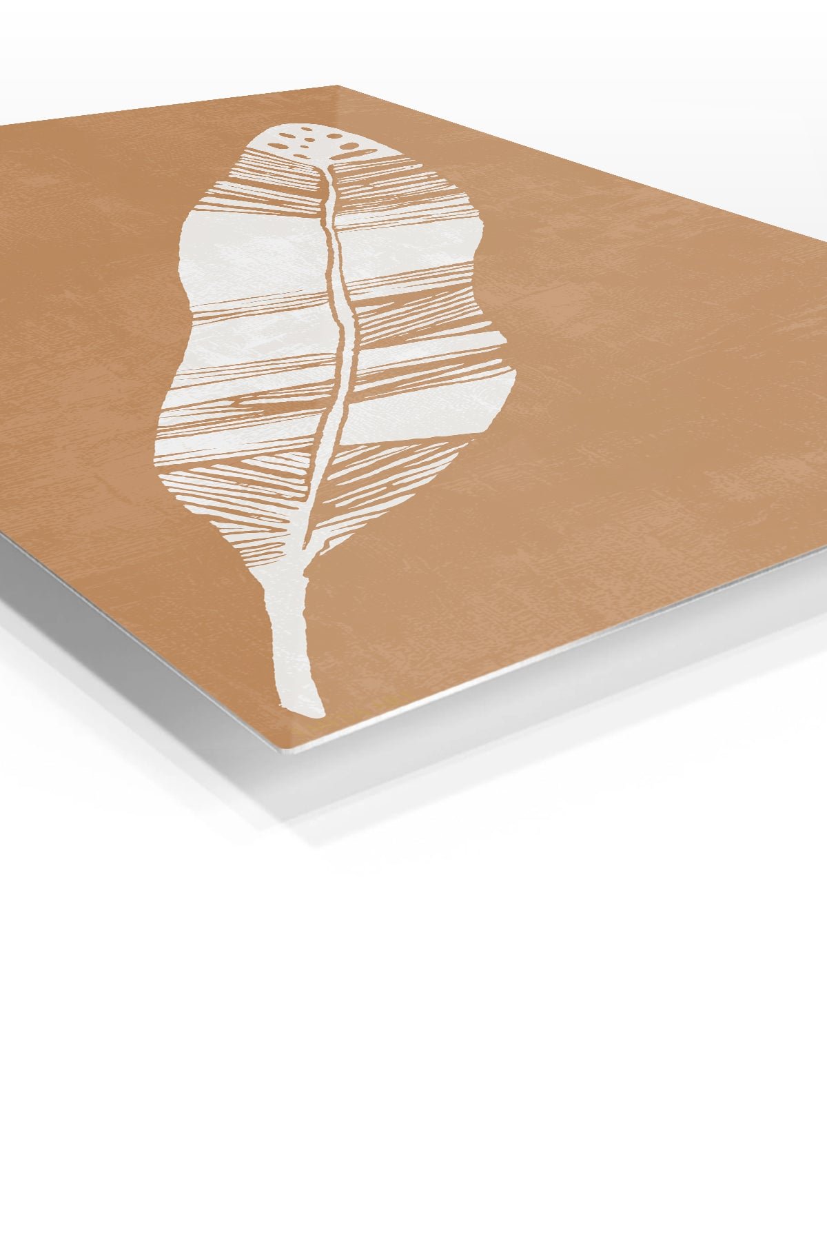 White Feather on Terracotta metal wall art print, view 2